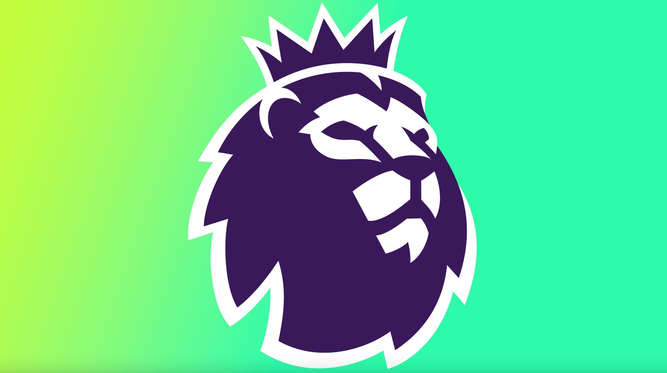 李的球迷在 李的球迷在